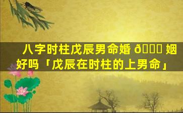 八字时柱戊辰男命婚 🕊 姻好吗「戊辰在时柱的上男命」